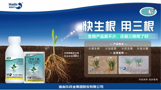 告别粗暴 转向协调——纽福斯生物重新定义生根技术